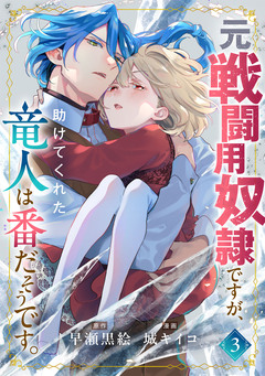元戦闘用奴隷ですが、助けてくれた竜人は番だそうです。 3巻