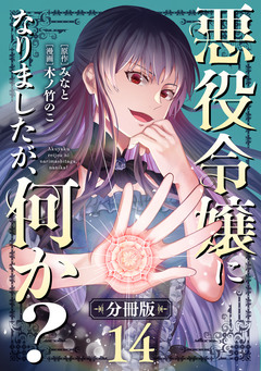 悪役令嬢になりましたが、何か?【分冊版】 14巻