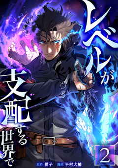 レベルが支配する世界で 2巻