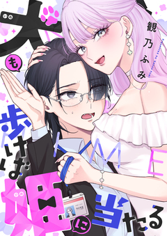 犬も歩けば姫に当たる 1巻