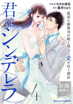 君はシンデレラ～孤高な御曹司が絶え間なく愛を注ぐ理由～【財閥御曹司シリーズ】 4巻