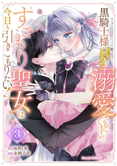 黒騎士様から全力で溺愛されていますが、すごもり聖女は今日も引きこもりたい! 3巻