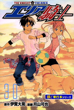 エリアの騎士【極!単行本シリーズ】 30巻