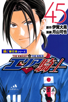 エリアの騎士【極!単行本シリーズ】 45巻