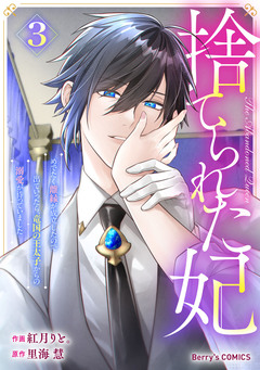 捨てられた妃 めでたく離縁が成立したので出ていったら、竜国の王太子からの溺愛が待っていました 3巻