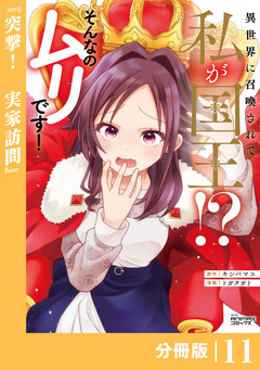 異世界に召喚されて私が国王!? そんなのムリです!【分冊版】 11巻