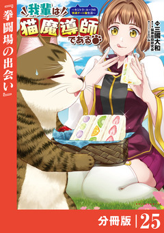 我輩は猫魔導師である～キジトラ・ルークの快適チート猫生活～【分冊版】 25巻