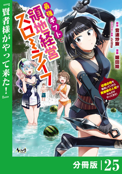 最強ギフトで領地経営スローライフ～辺境の村を開拓していたら英雄級の人材がわんさかやってきた!～【分冊版】 25巻