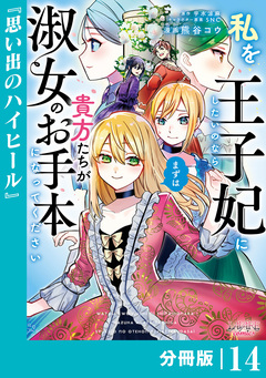 私を王子妃にしたいのならまずは貴方たちが淑女のお手本になってください【分冊版】 14巻