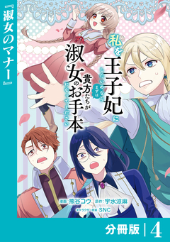 私を王子妃にしたいのならまずは貴方たちが淑女のお手本になってください【分冊版】 4巻