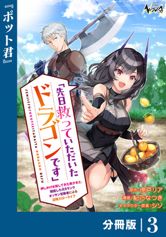 先日救っていただいたドラゴンです【分冊版】 3巻