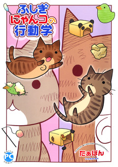 ふしぎにゃんコの行動学【単行本版】 1巻
