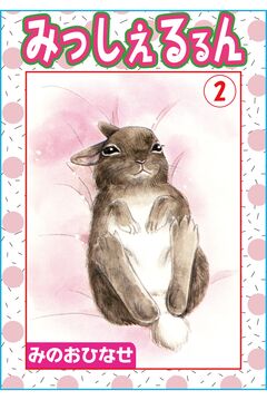 みっしぇるるん 2巻