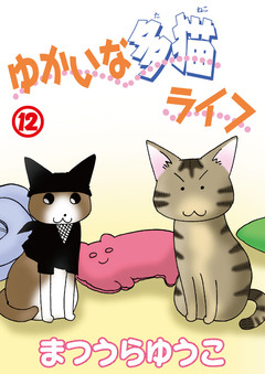ゆかいな多猫ライフ【分冊版】 13巻