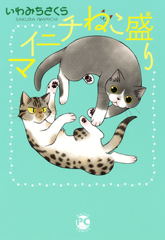 マイニチねこ盛り 1巻
