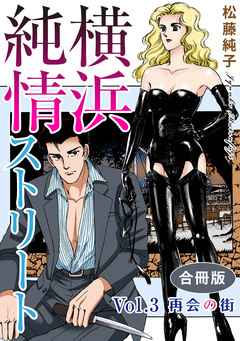 横浜純情ストリート 合冊版 3巻