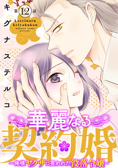 華麗なる契約婚 ～俺様ヤクザに買われた没落令嬢～ 12巻