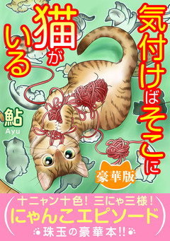 気付けばそこに猫がいる【豪華版】 1巻