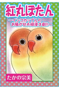 紅丸ぼたん～インコカップルのお騒がせ夫婦漫才劇!!～ 1巻