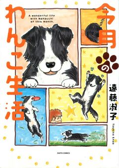 今月のわんこ生活 1巻