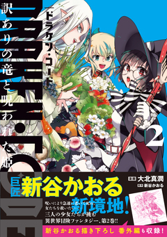 DRAKEN・CODE 訳ありの竜と呪われた姫 2巻