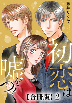 初恋は嘘をつく 合冊版 2巻