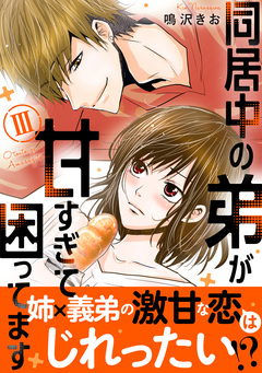同居中の弟が甘すぎて困ってます【単行本版】 3巻