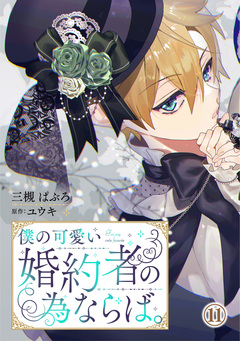 僕の可愛い婚約者の為ならば。 11巻