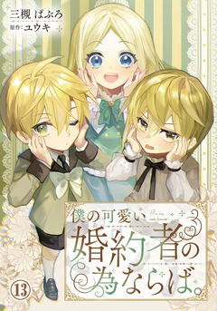 僕の可愛い婚約者の為ならば。 13巻