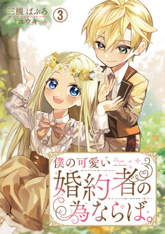 僕の可愛い婚約者の為ならば。 3巻