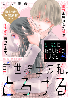 リーマンに転生した姫が甘すぎて前世騎士の私、とろける[comic tint] 分冊版 3巻