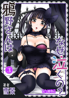鴉野さんはなぜ泣くの?【合冊版】 3巻
