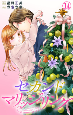 セカンドマリッジリング 14巻