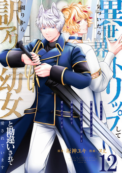 気づいたら、異世界トリップして周りから訳アリ幼女と勘違いされて愛されています 12巻