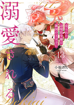 売られた辺境伯令嬢は隣国の王太子に溺愛される【コミックス版】 13巻