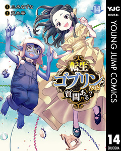 転生ゴブリンだけど質問ある? 14巻