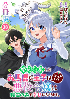 婚約破棄したお馬鹿な王子はほっといて、悪役令嬢は精霊の森で幸せになります。【分冊版】 28巻