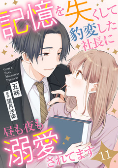 記憶を失くして豹変した社長に昼も夜も溺愛されてます【分冊版】 11巻