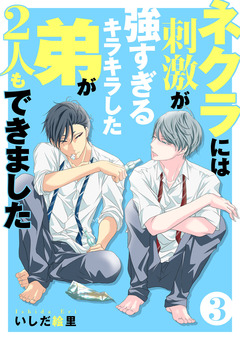 ネクラには刺激が強すぎるキラキラした弟が2人もできました 単行本版 3巻