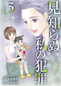 見知らぬ私の犯罪 単行本版 3巻