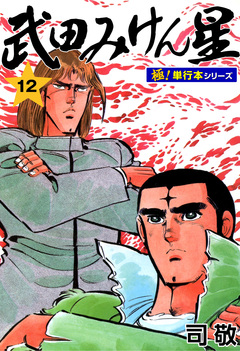 武田みけん星【極!単行本シリーズ】 12巻
