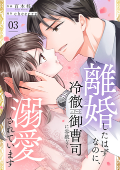 離婚したはずなのに、冷徹エリート御曹司に容赦なく溺愛されています【電子単行本版】 3巻