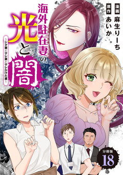 海外駐在妻の光と闇～シタ妻とサレ妻とサレかけた妻～ 分冊版 18巻