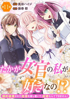 たかが女官の私が好きなの!? 婚約破棄された姫様を差し置いて、結婚なんてできません! 11巻