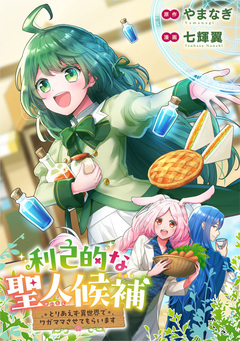 利己的な聖人候補 とりあえず異世界でワガママさせてもらいます(分冊版) 17巻