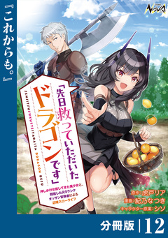 先日救っていただいたドラゴンです【分冊版】 12巻