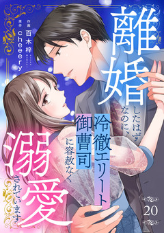離婚したはずなのに、冷徹エリート御曹司に容赦なく溺愛されています 20巻