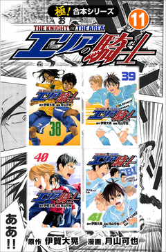 【極!合本シリーズ】 エリアの騎士 11巻