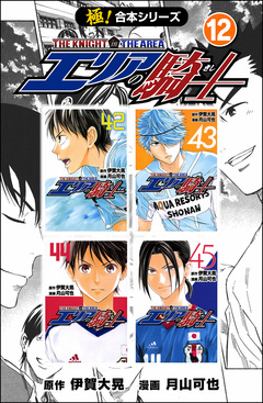 【極!合本シリーズ】 エリアの騎士 12巻