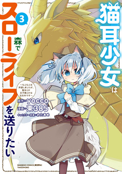 猫耳少女は森でスローライフを送りたい ～もふもふは所望しましたが、聖女とか王子様とかは注文外です～ 3巻